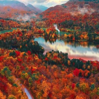 半岛官方登录地址