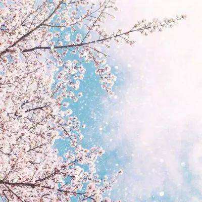 乐发彩票app下载