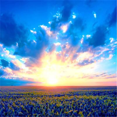 香港最准资料免费公开手机app下载