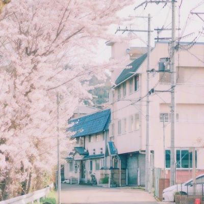 半岛官方APP入口app下载截图