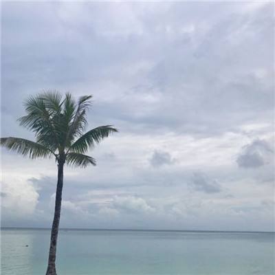 双博体育娱乐线上