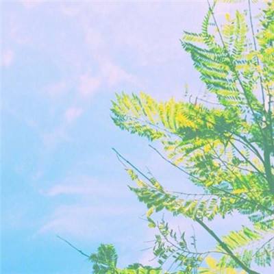 半岛官方APP入口app下载截图