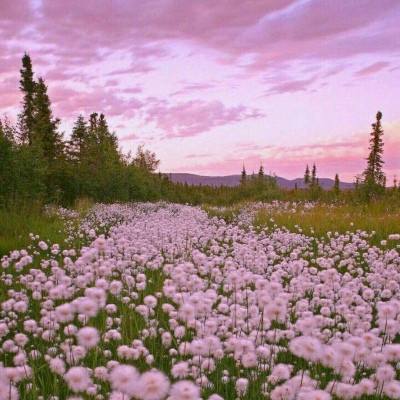 开云·体育平台