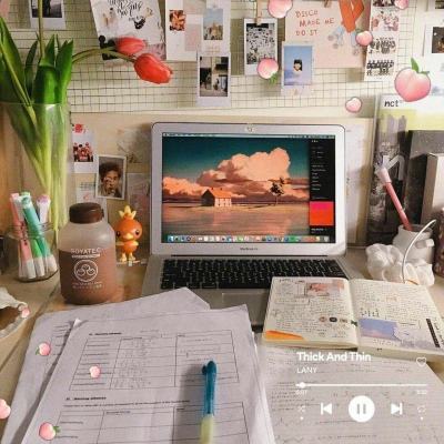 kok全站app官网登录入口截图