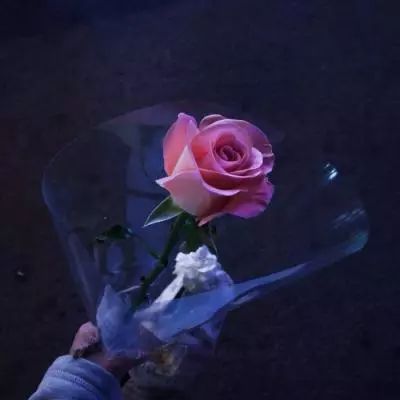 半岛官网入口网页版